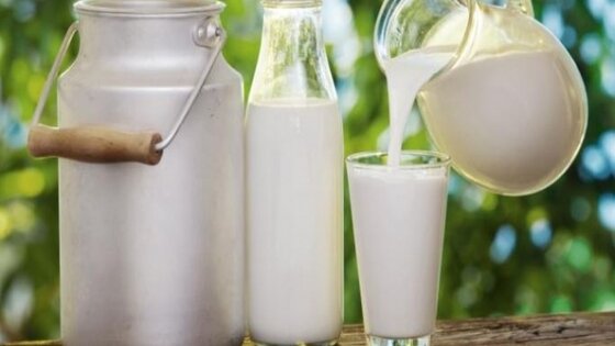 توقف عن شرب الحليب إذا كنت تعاني إحدى هذه الأعراض