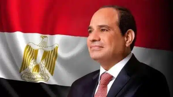وزير مصري في مواجهة السيسي