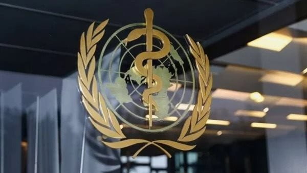 المدير الإقليمي لـ الصحة العالمية يحذر من انتشار الكوليرا في غزة