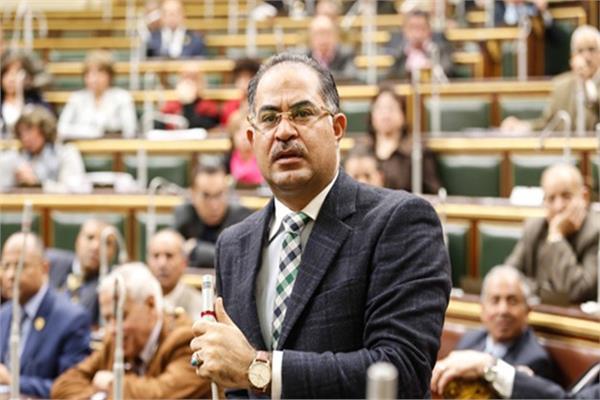 نائب حزب الوفد عن وصاية البرلمان الأوروبي على مصر‎