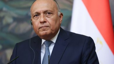 مصر تصيغ مشروع قرار باسم المجموعتين العربية والإسلامية أمام مجلس الأمن بشأن غزة