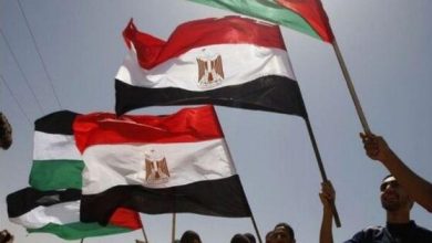 الجامعات المصرية توافق على تأجيل سداد الأقساط لطلبة غزة