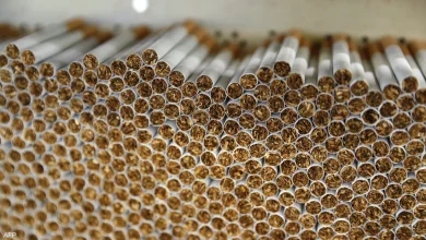 زيادة جديدة بأسعار السجائر الشعبية في مصر