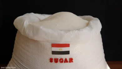 لحل أزمة السكر.. مصر تهدد التجار بالتسعير الجبري