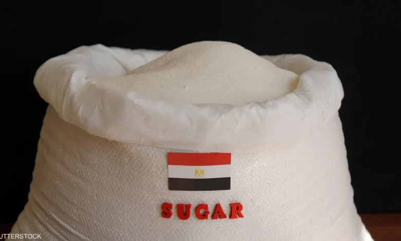 لحل أزمة السكر.. مصر تهدد التجار بالتسعير الجبري