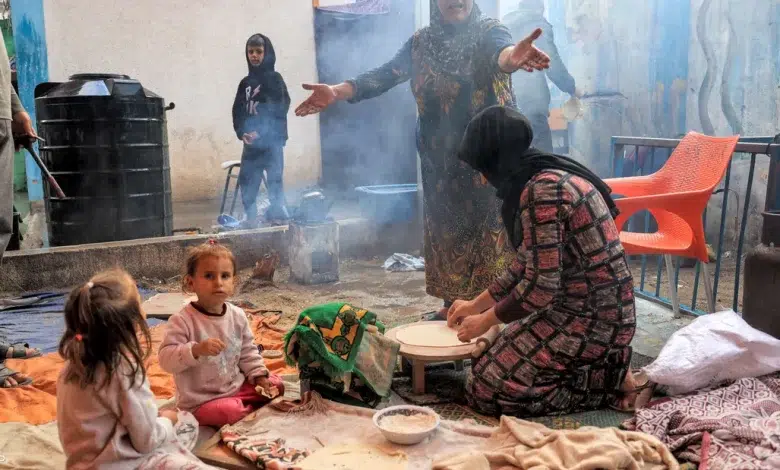 المجاعة تنتظر غزة في فبراير.. وعلف الحيوانات طعام للسكان