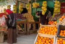 1.5 مليار دولار صادرات مصر الزراعية في الربع الأول من 2024