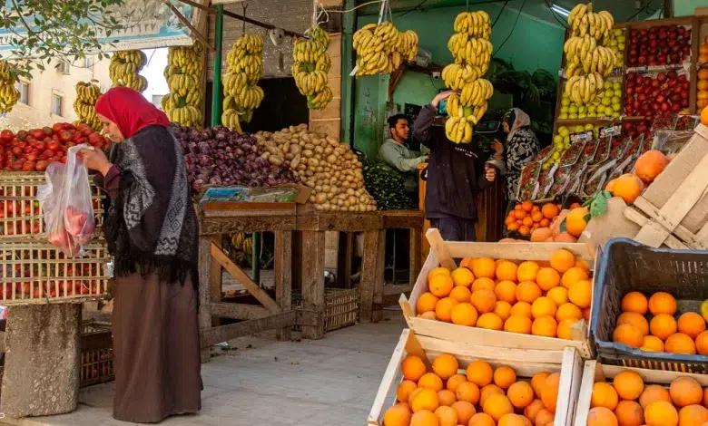 1.5 مليار دولار صادرات مصر الزراعية في الربع الأول من 2024