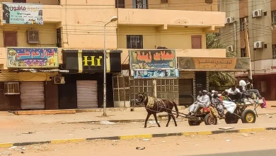 النسور والكلاب تكشف خطرا متناميا في السودان