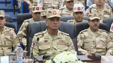 وزير الدفاع المصري: الجيش قادر على مجابهة أي تحديات